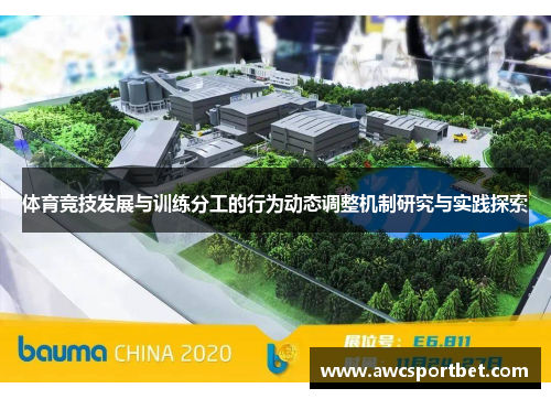 体育竞技发展与训练分工的行为动态调整机制研究与实践探索
