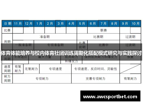 体育体能培养与校内体育社团训练周期化搭配模式研究与实践探讨